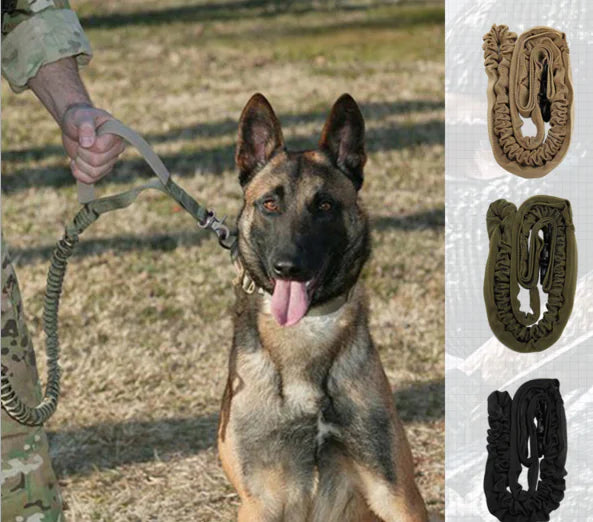 Adventure-Ready Dog Leash