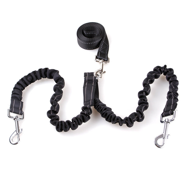 Tangle-Free Dual Dog Leash