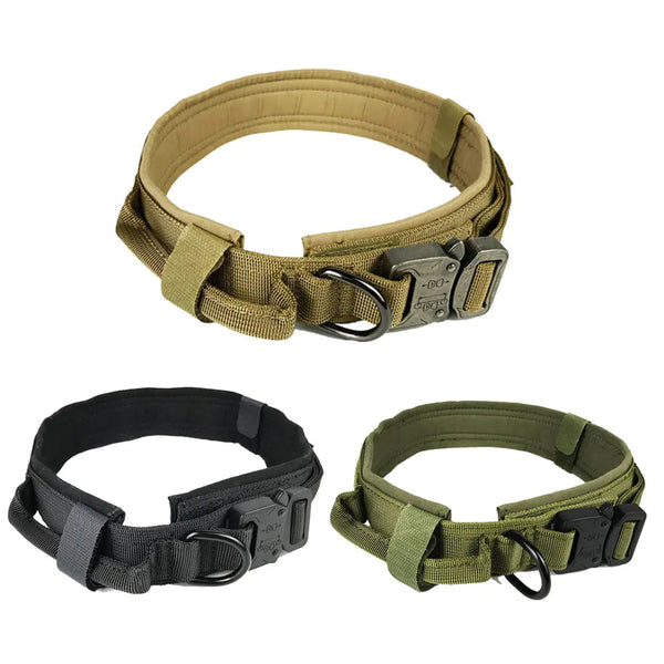 Adventure Pup Dog Collar