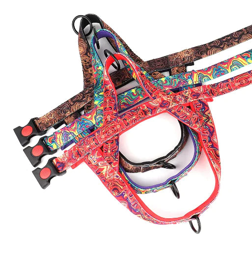 Vibrant Pet Safety Harness