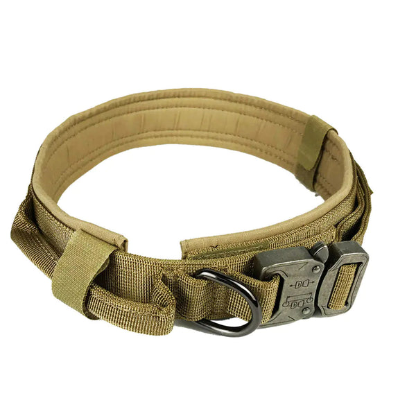 Adventure Pup Dog Collar