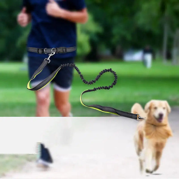 Hands-Free Dog Walking Belt