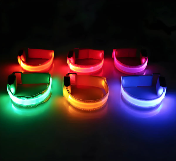 GlowBright Dog Collar