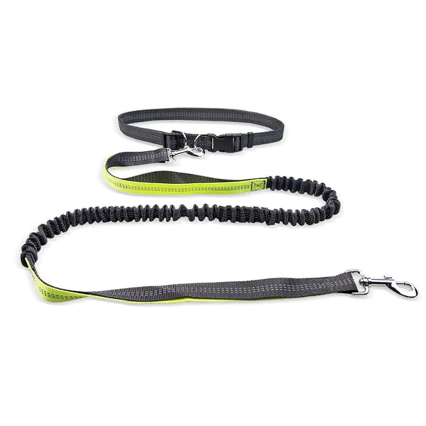 Hands-Free Dog Walking Belt