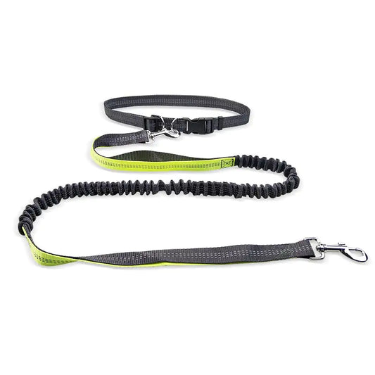 Hands-free Dog Walking Belt
