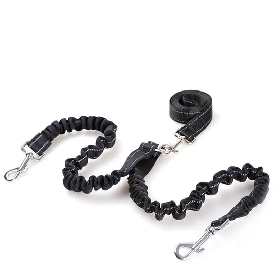 Tangle-free Dual Dog Leash